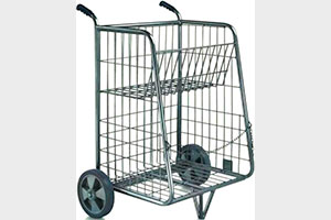 CARRO ESTACICAR II – B